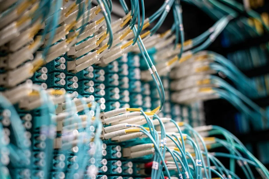 VPS Linux vs Windows : lequel choisir ?